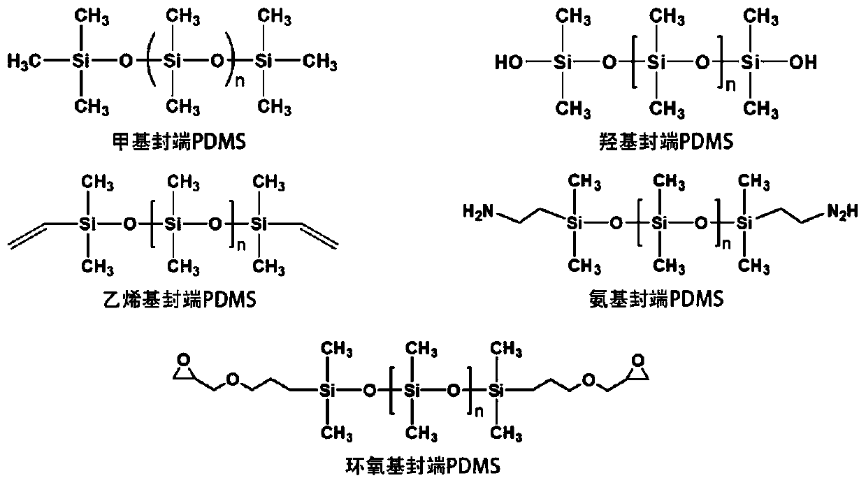 Preparation method of linear polydimethylsilane (PDMS) modified oil-water separation film, and oil-water separation film prepared through preparation method