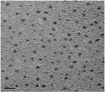 Preparation of protamine gold nanoclusters and application in analogue enzyme color comparison and fluorescence detection