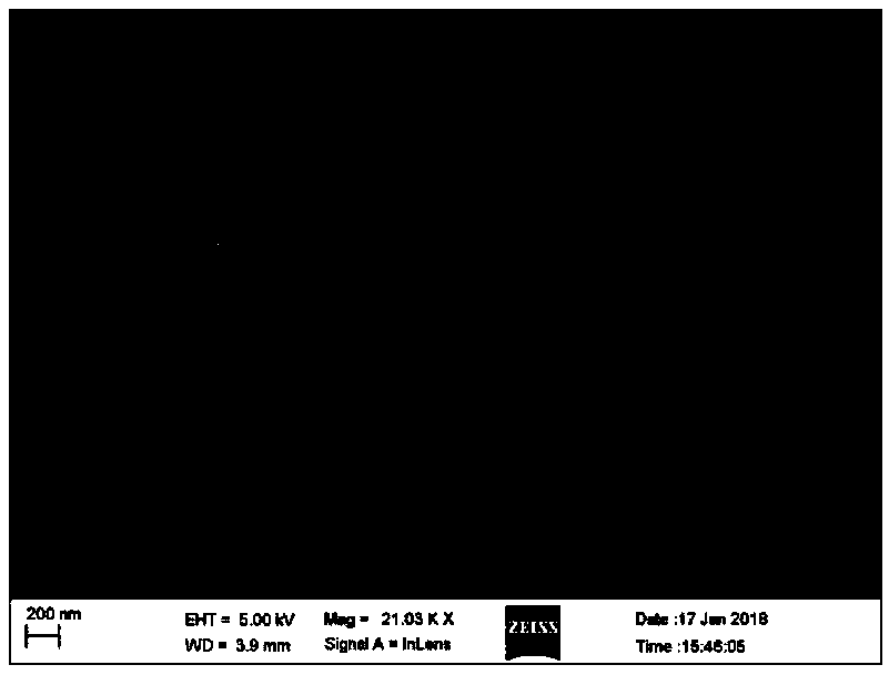 Sea urchin shaped cobalt sulfide catalyst loaded on foam nickle as well as preparation method thereof and application thereof as water electrolysis oxygen evolution catalyst