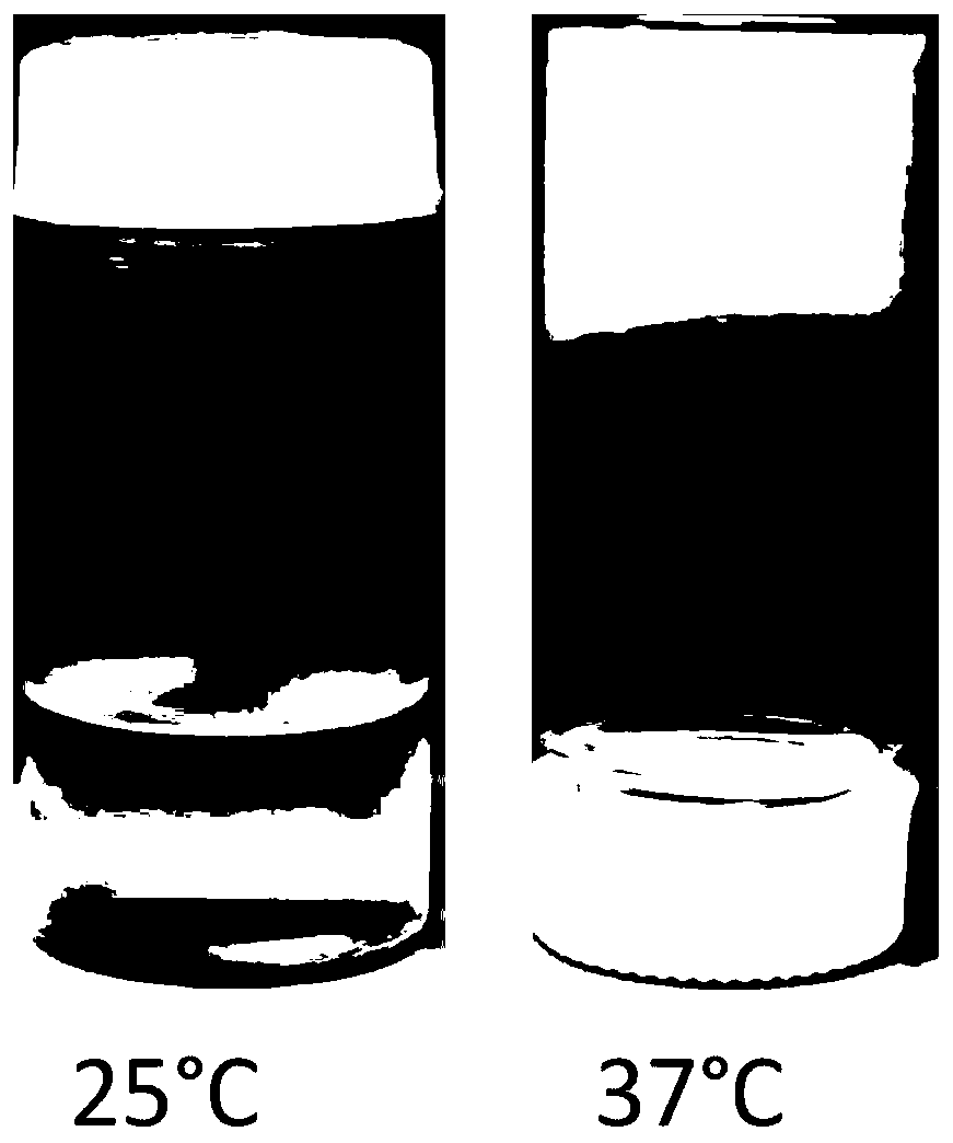 Biological capsule for tissue repairing and establishing method thereof