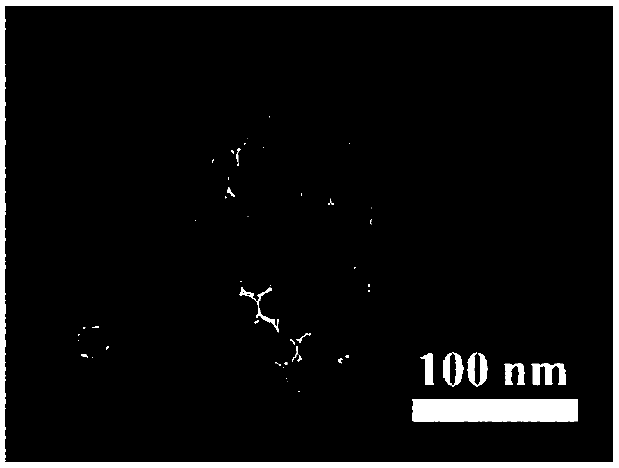 Nitrosonium tetrafluoroborate modified nanoparticles and preparation method thereof, nanometer probe and preparation method thereof, and sulfur-containing compound detection method