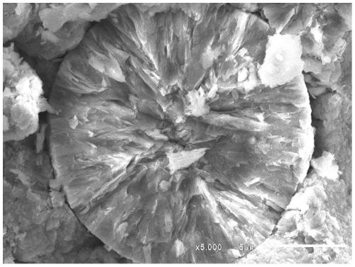 A precursor of nickel-cobalt lithium manganese oxide material and its preparation method, and a lithium-ion battery prepared from the precursor