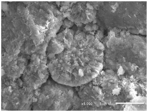 A precursor of nickel-cobalt lithium manganese oxide material and its preparation method, and a lithium-ion battery prepared from the precursor