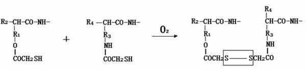 Modified keratin material as well as preparation method and application thereof