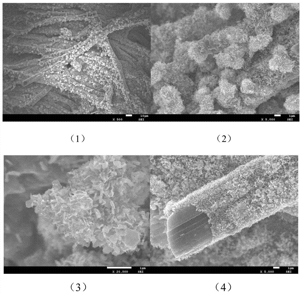 Wire structure carbon fiber / MoS2 / MoO2 flexible electrode material and preparation method thereof