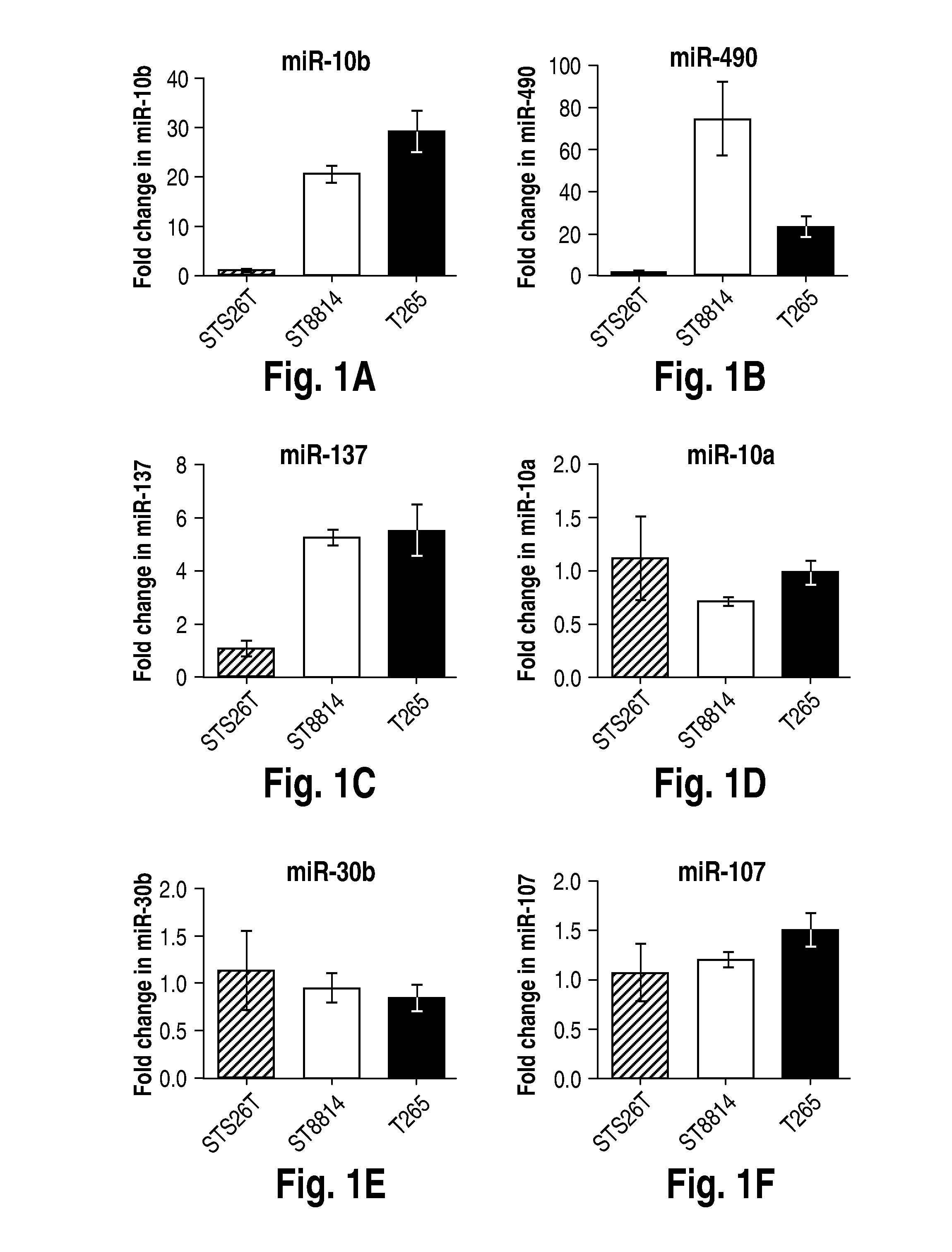 MICRO RNA (MiRNA) AND NEUROFIBROMATOSIS TYPE 1: A ROLE IN DIAGNOSIS AND THERAPY