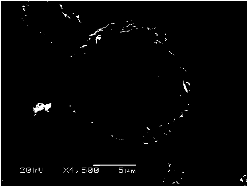 Lithium cobalt oxide-coated lithium nickel cobalt aluminate positive electrode material and preparation method thereof