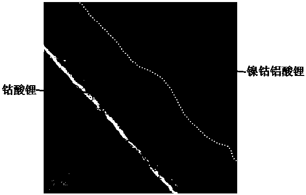 Lithium cobalt oxide-coated lithium nickel cobalt aluminate positive electrode material and preparation method thereof