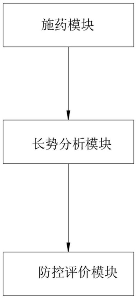 Chemical prevention and control evaluation system and method for moso bamboo expansion