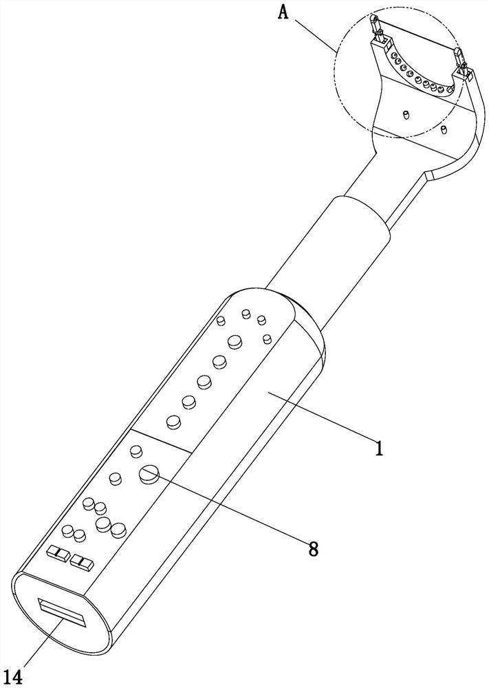 An auxiliary visualization device for oral hygiene maintenance