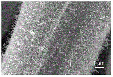 One-dimensional nico on the surface of activated carbon fibers  <sub>2</sub> the s  <sub>4</sub> Crystal array and its preparation method