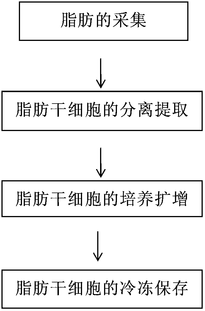 Scale production process of adipose-derived stem cells