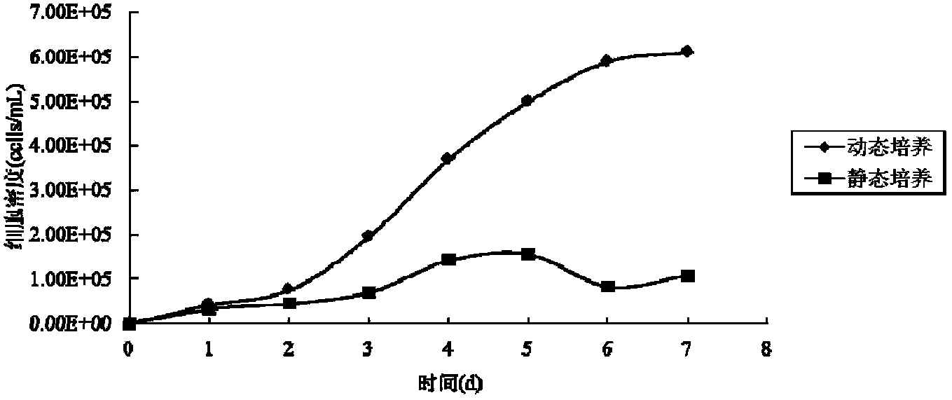 Scale production process of adipose-derived stem cells