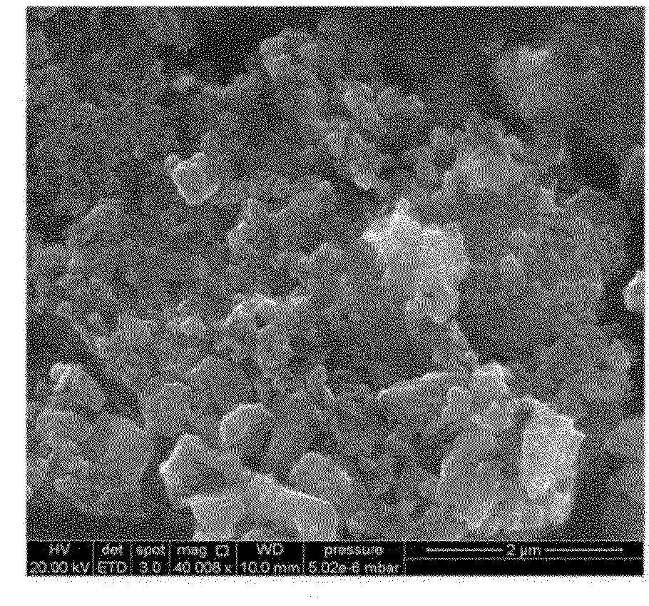 Novel Non-Platinum Metal Catalyst Material