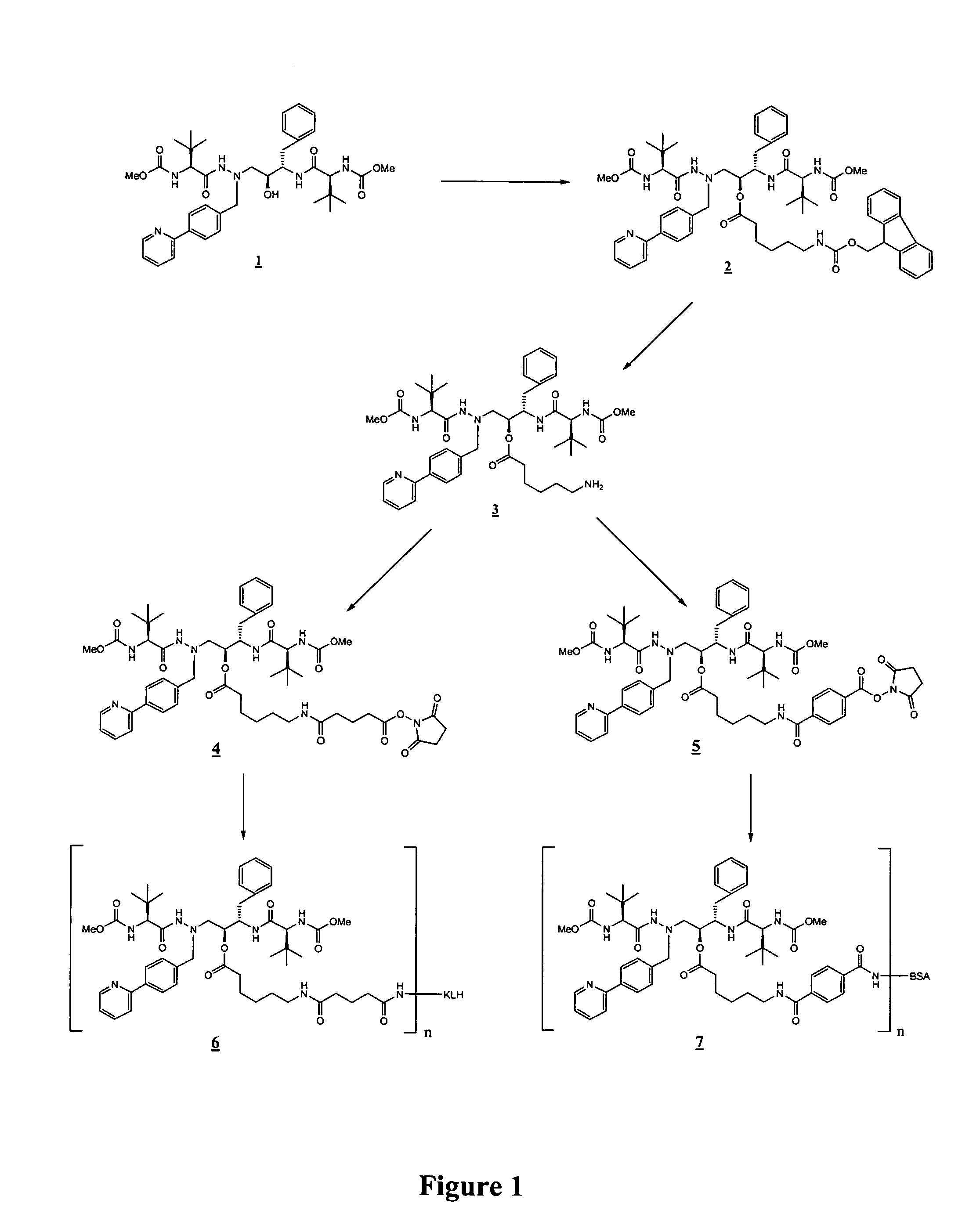 Methods of inhibiting transmission of a costimulatory signal of lymphocytes