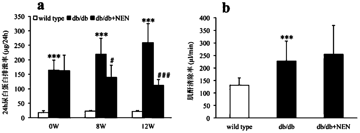 Application of niclosamide ethanolamine salt in prevention and treatment of type 2 diabetic nephropathy