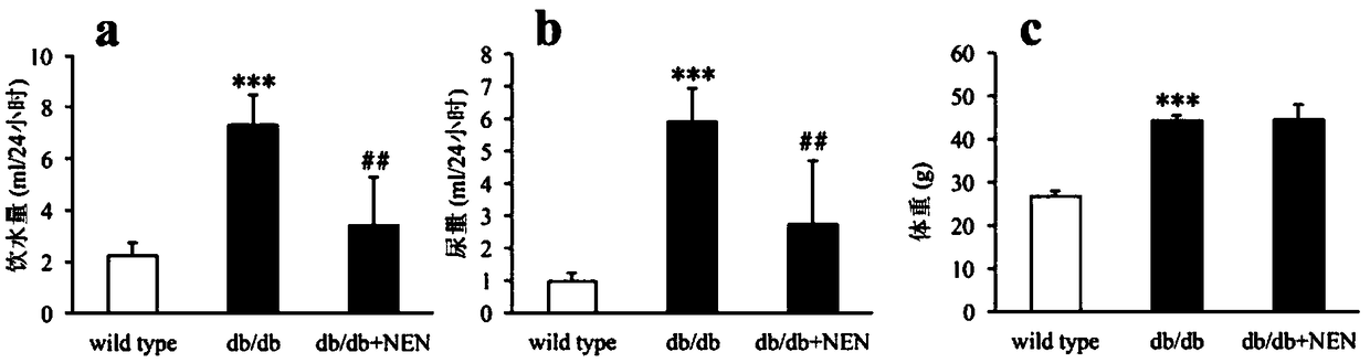 Application of niclosamide ethanolamine salt in prevention and treatment of type 2 diabetic nephropathy