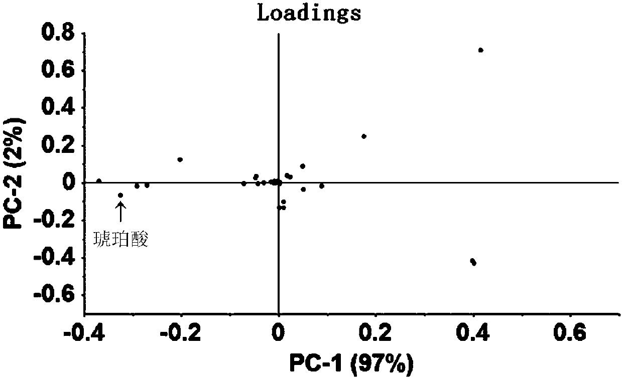 Method for researching action mechanism of bactericide based on metabolomics