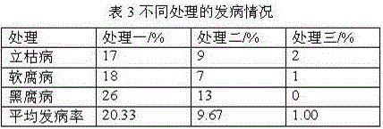 Vegetable special botanical liquid medicinal fertilizer and preparation method thereof