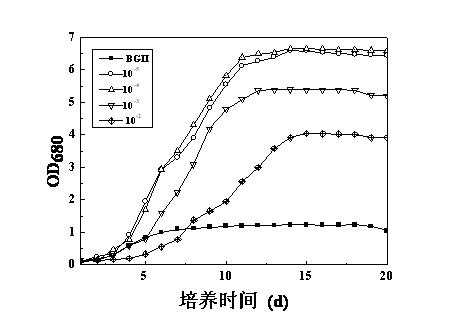 Method for promoting quick proliferation of Botryococcus braunii