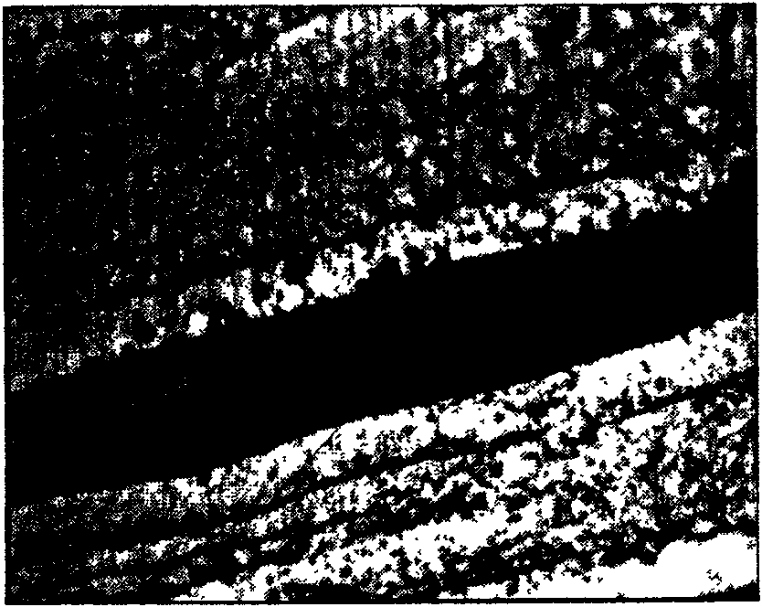 High damping metal porous material and preparation method thereof