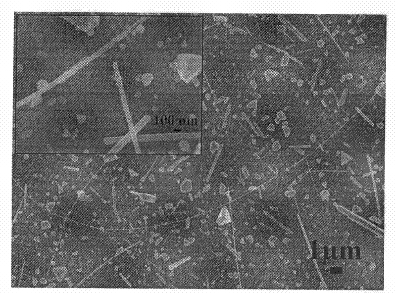 Solution for replacing silver plating in deposited nanostructure on surface of silicon matrix and use method thereof