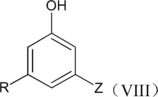 Novel accelerant and curing agent, preparation method and application thereof