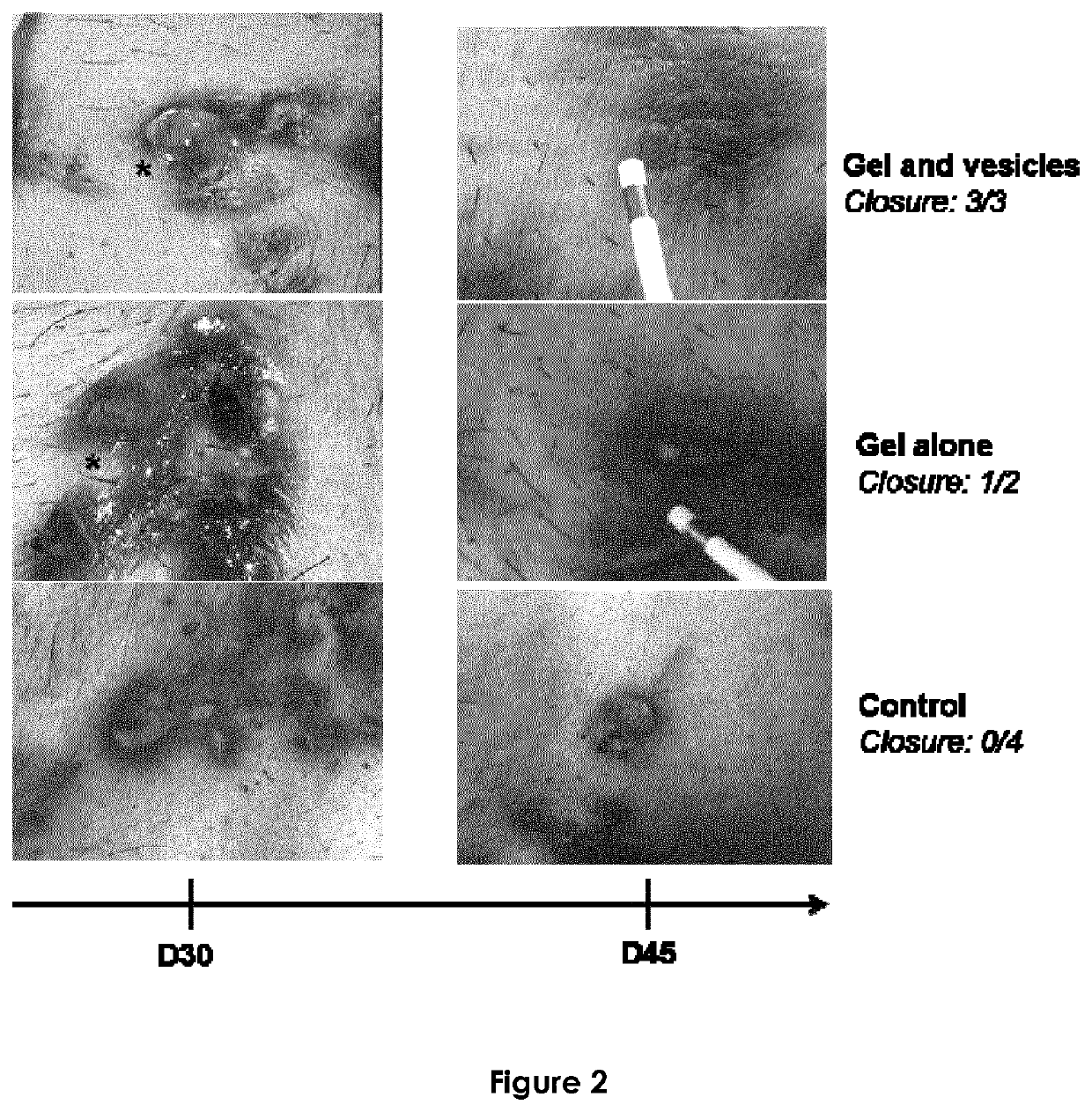 Compositions useful for mucosal healing