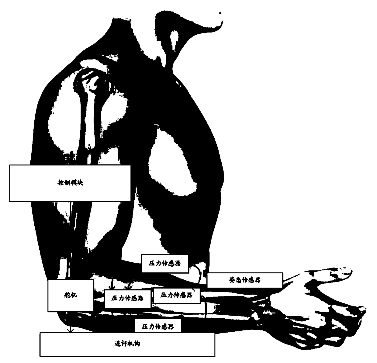 System for assisting arm movement