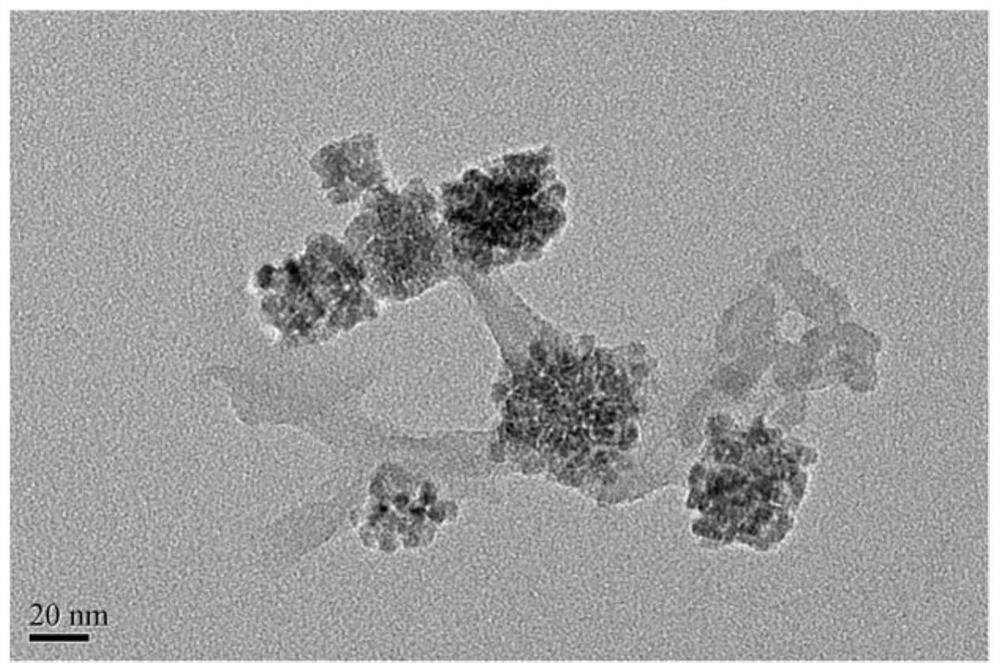 Bovine serum albumin modified protoporphyrin/trimanganese tetroxide /carbon oxynitride nano composite material as well as preparation and application thereof