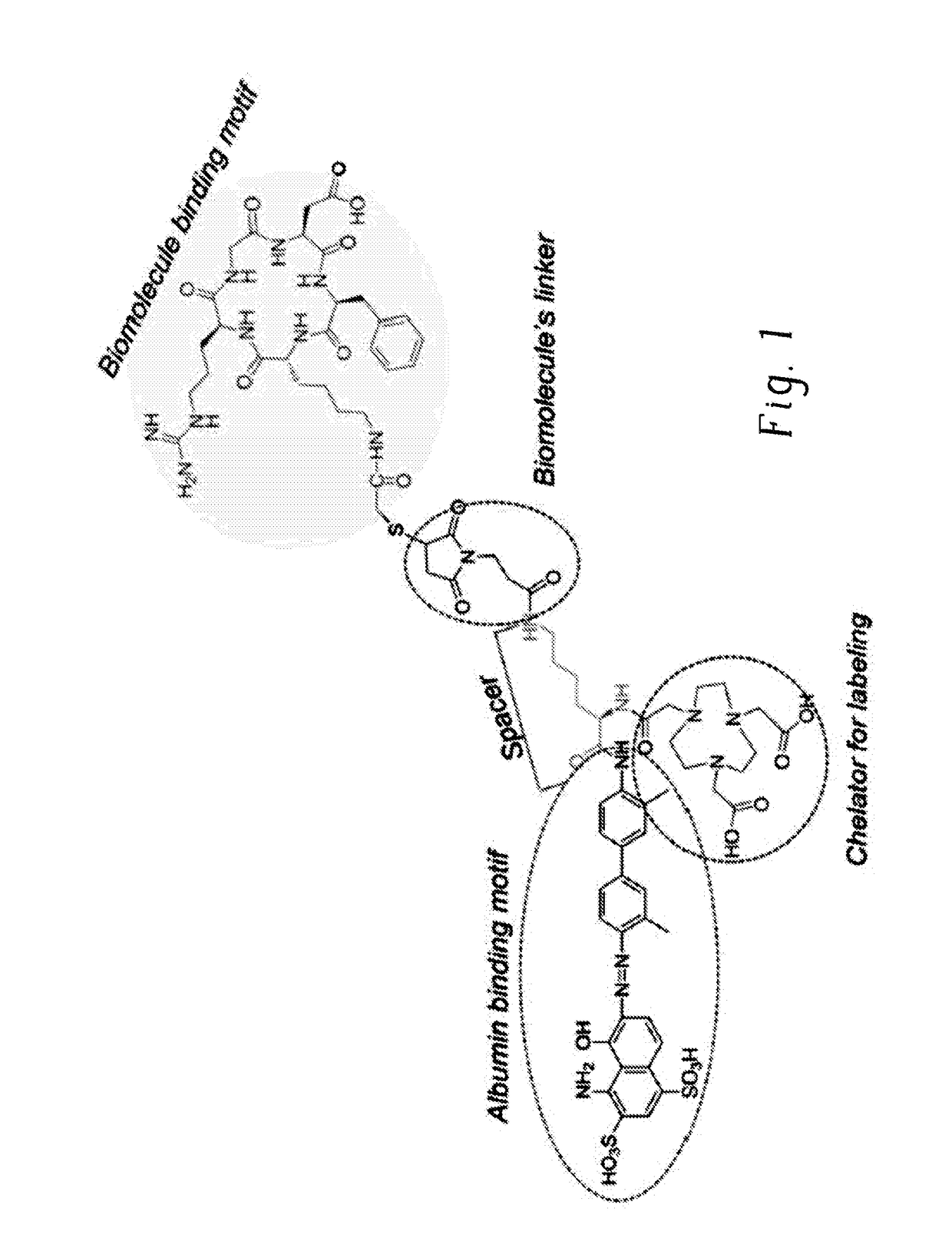 Chemical conjugates of evans blue derivatives and their use as radiotherapy and imaging agents