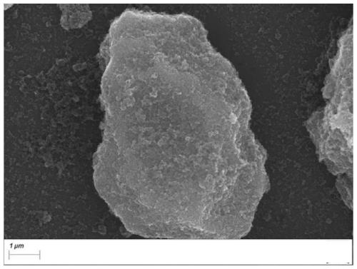 Titanium carbonitride powder and method for preparing titanium carbonitride from hydrolyzable titanium source