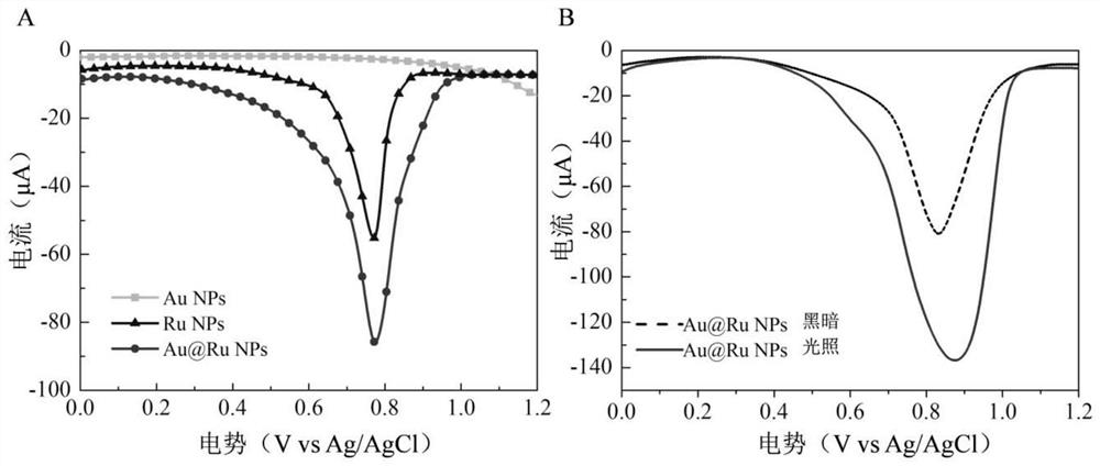 Construction method and application of specific electrochemical sensor for HER2 detection