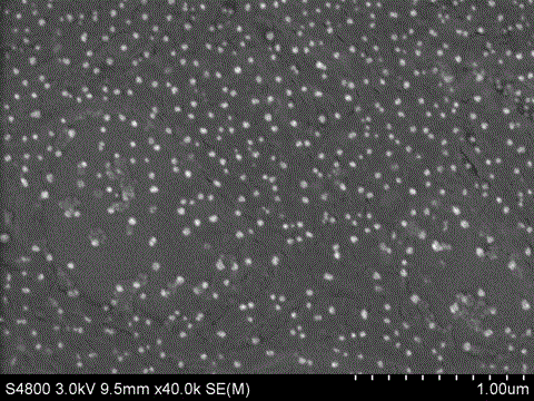 A method for preparing iron ferric oxide nanoparticles