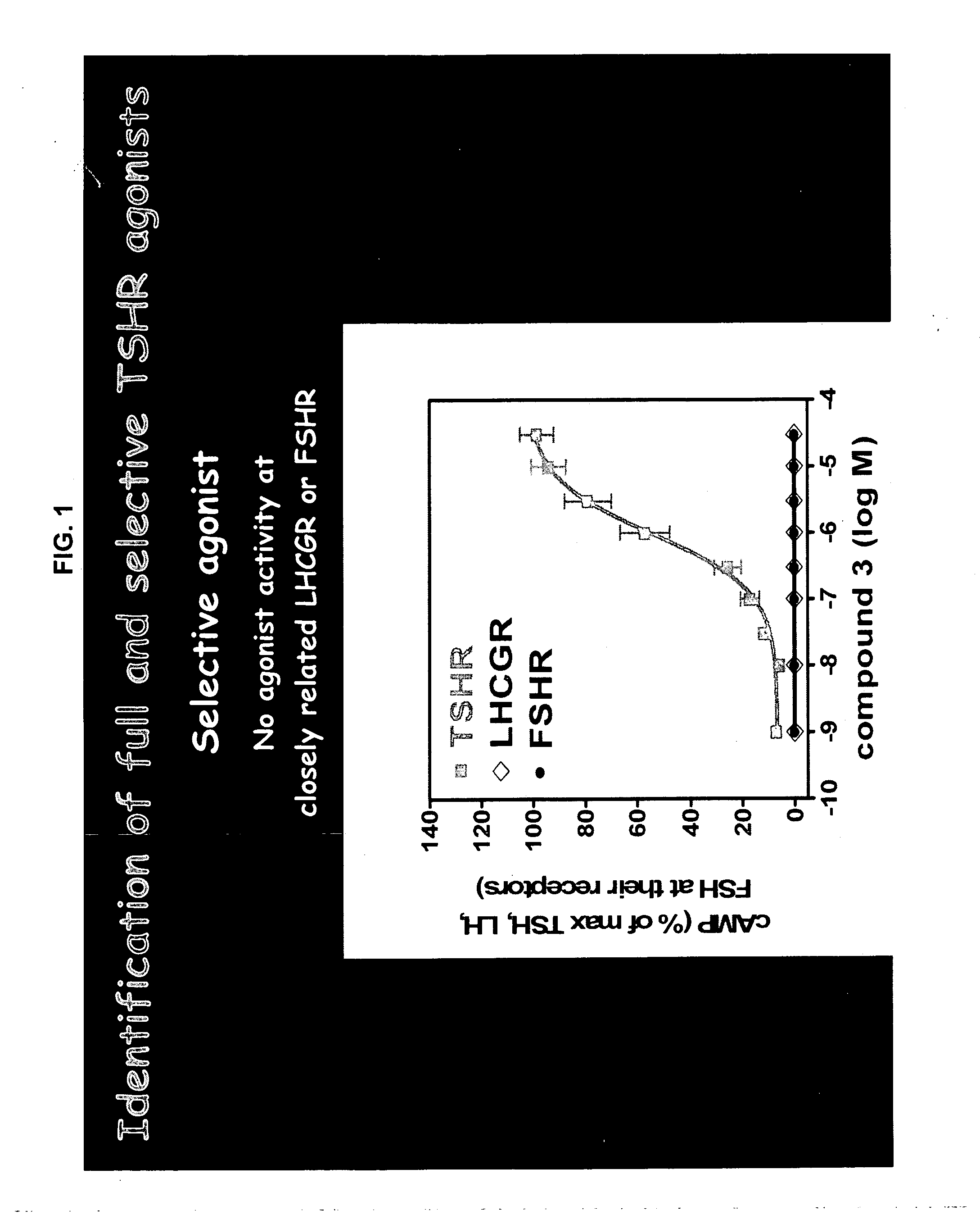 Low molecular weight thyroid stimulating hormone receptor (TSHR) agonists