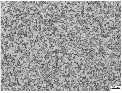 A method for preparing high-strength modified ti-6al-4v titanium alloy large-scale rods