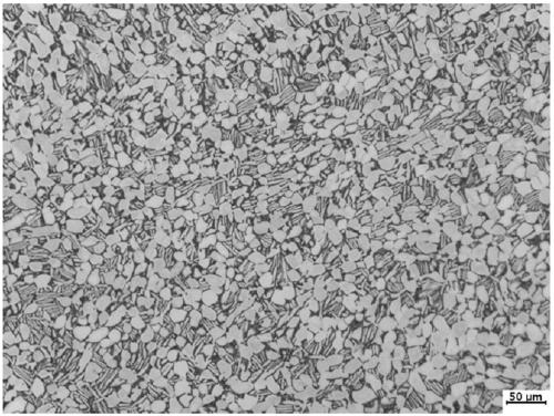 A method for preparing high-strength modified ti-6al-4v titanium alloy large-scale rods