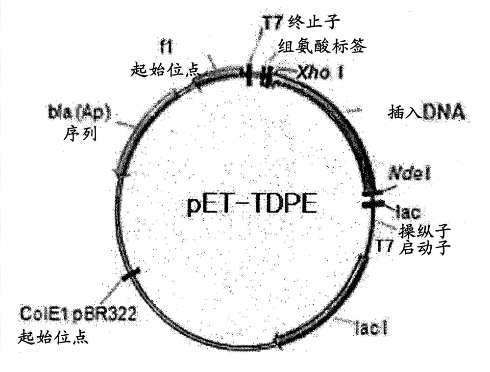 Psicose epimerase and composition for conversion to psicose using same