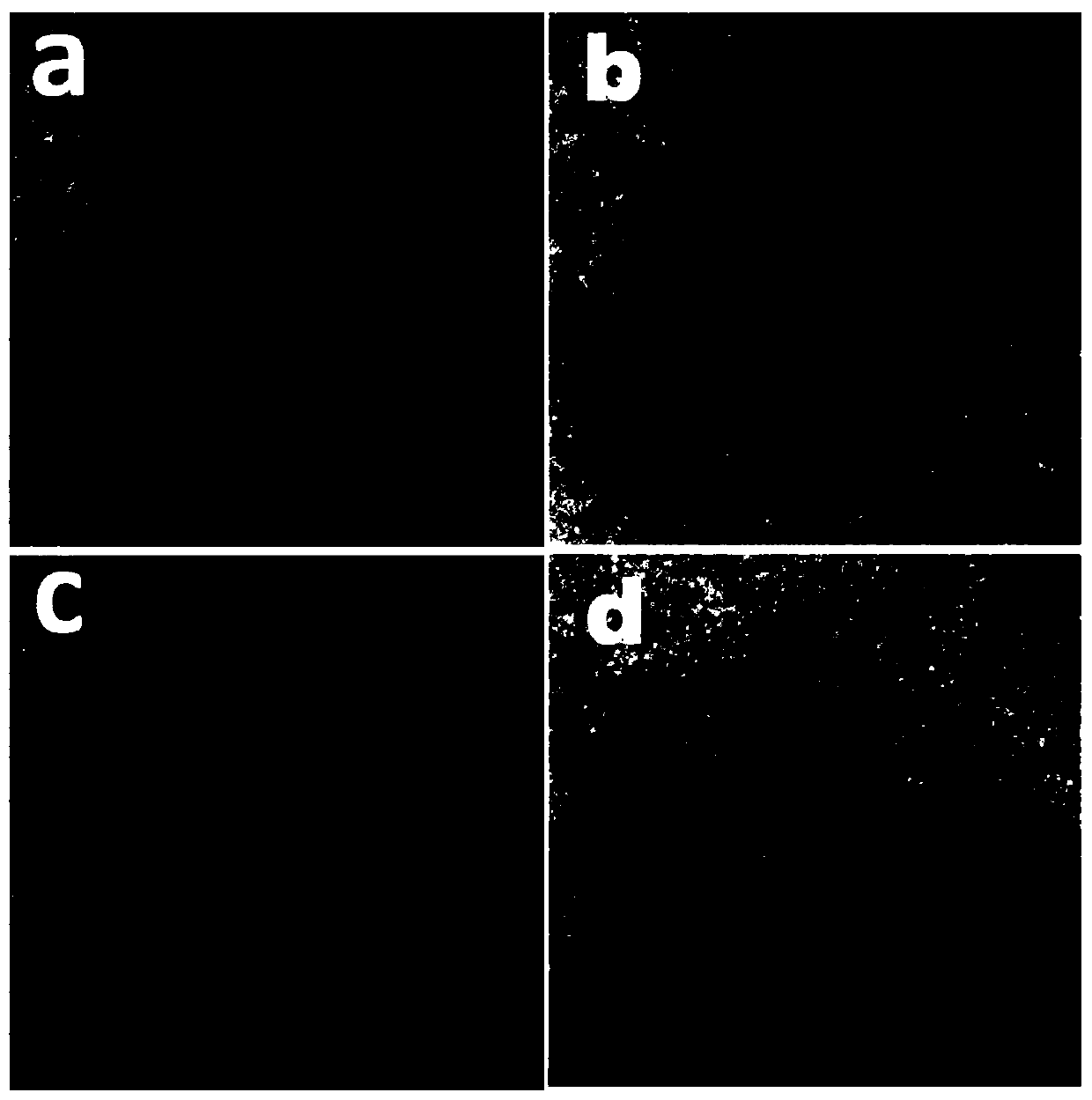 Multifunctional monoatomic catalyst used for comprehensive purification of air and preparation method of catalyst