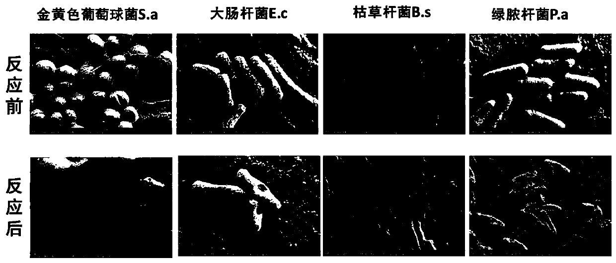 Multifunctional monoatomic catalyst used for comprehensive purification of air and preparation method of catalyst