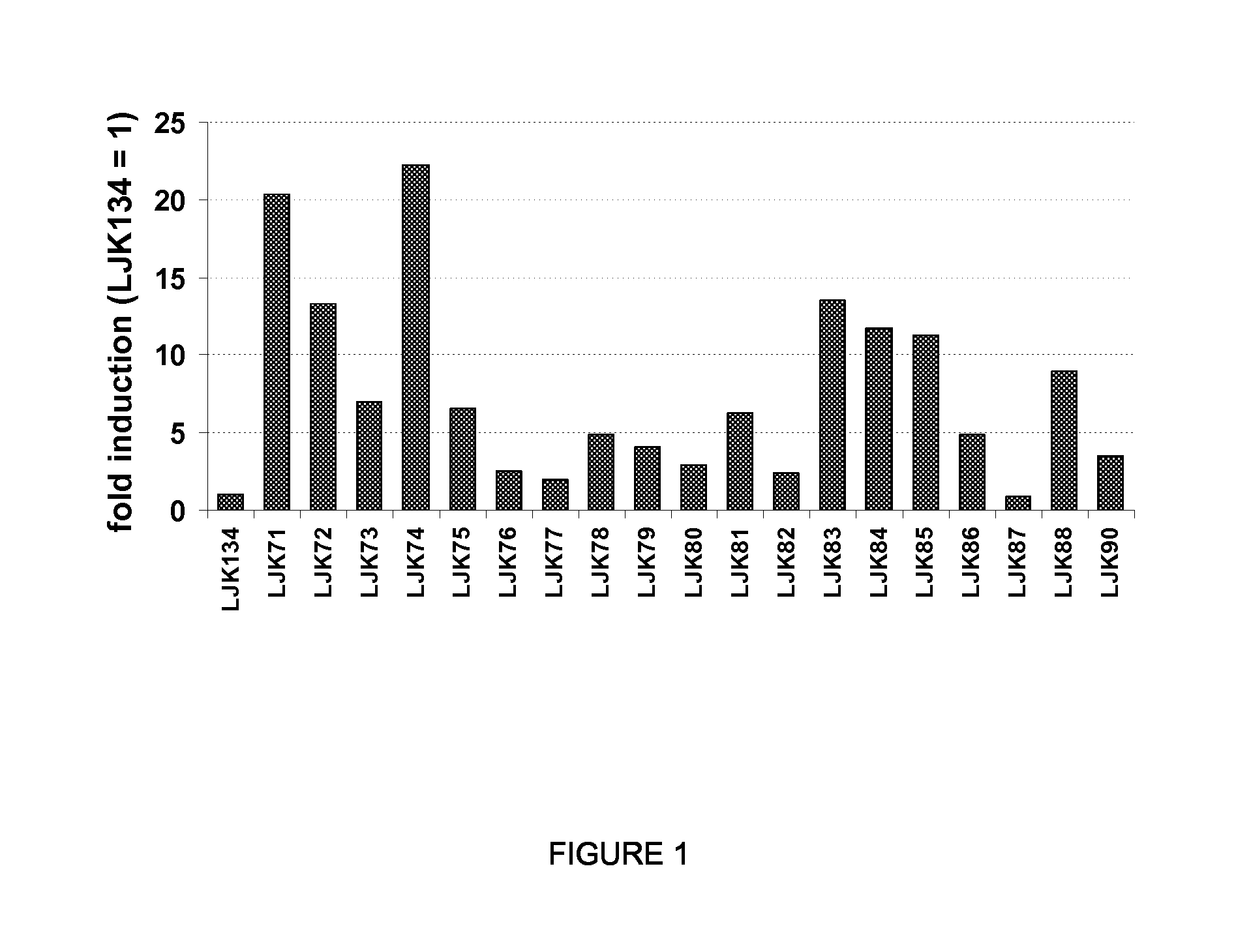 Regulatory nucleic acid molecules for enhancing seed-specific and/or seed-preferential gene expression in plants