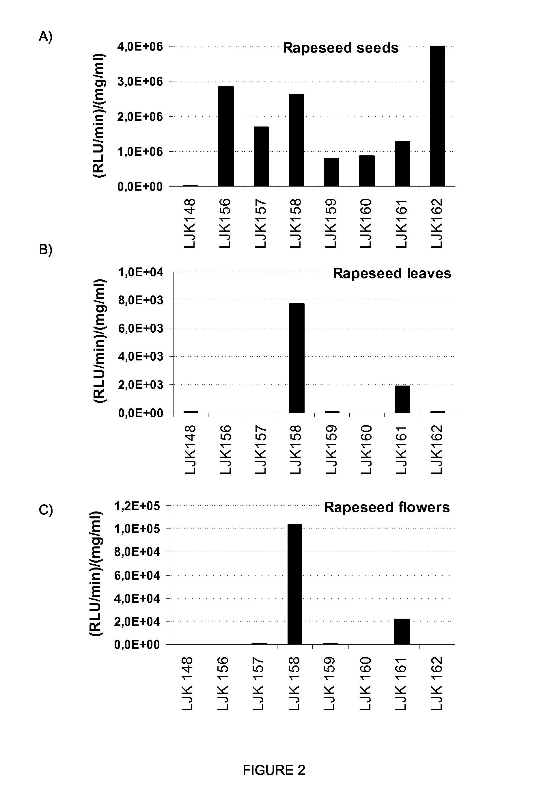 Regulatory nucleic acid molecules for enhancing seed-specific and/or seed-preferential gene expression in plants