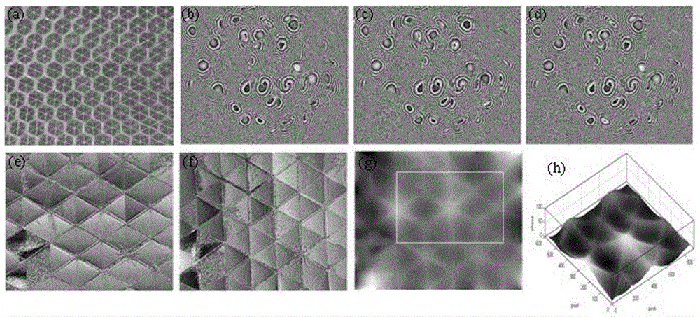 A transverse shearing digital holography method that can eliminate optical field distortion