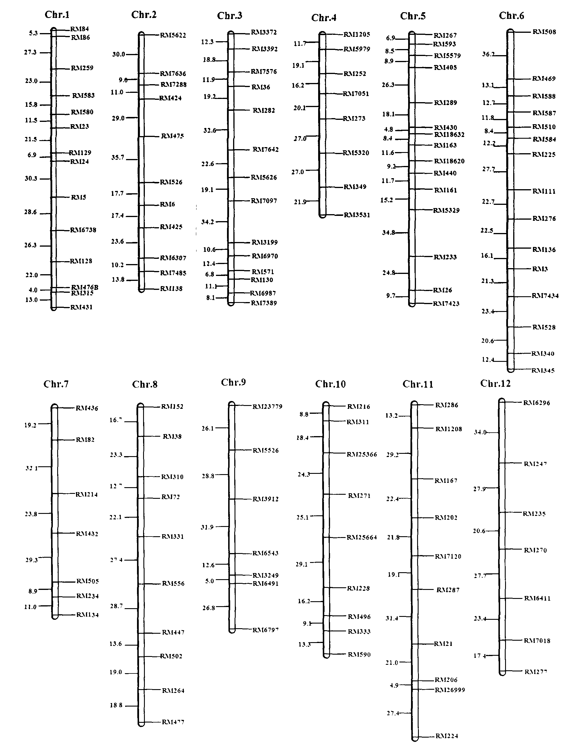 SSR (simple sequence repeats) markers, linked with LRGPP (loss rate of total grains per panicle) related Aphelenchoides besseyi Christie resistant QTL (quantitative trait locus), on chromosome 5 and application thereof