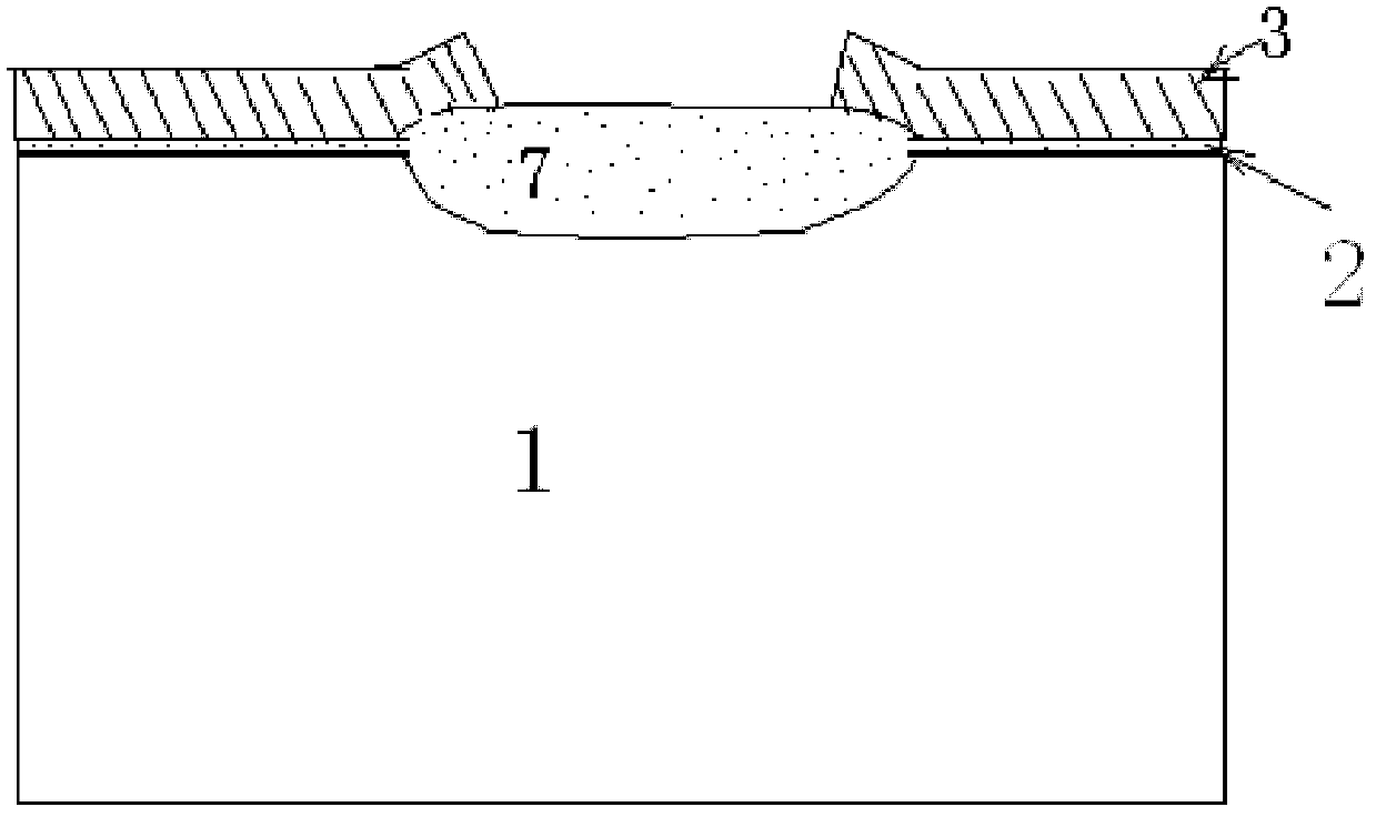 Process for total dose radiation hardening of factory region