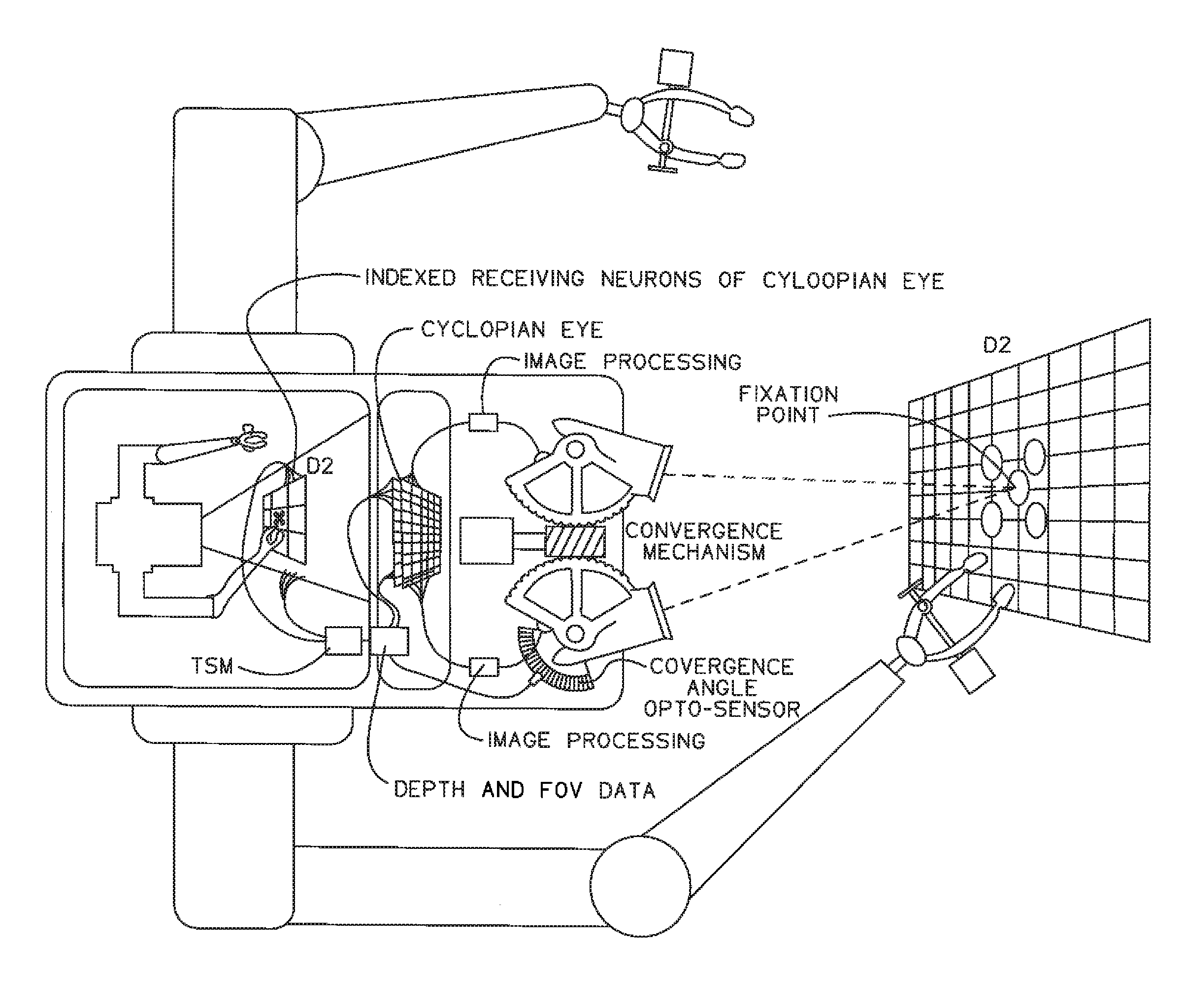 Intelligent visual humanoid robot and computer vision system programmed to perform visual artificial intelligence processes