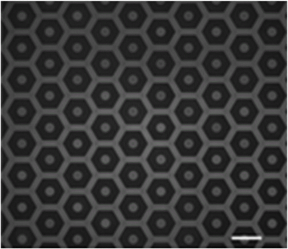 Surface patterning-modified substrate and preparation method therefor