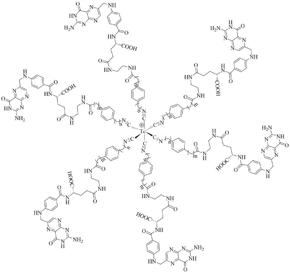 Technetium-99m labeled isonitrile-containing folic acid derivative as well as preparation method and application thereof