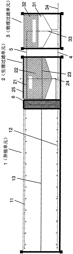 Container module ecological circulation aquaculture system