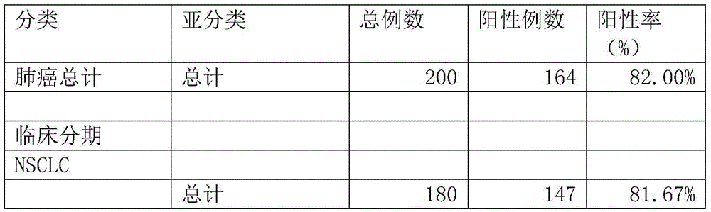 Protein chip, protein chip diagnostic kit, preparation method and using method